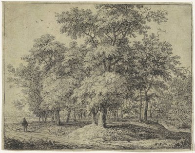 Mann mit Hund in einem Wald von Anthonie Waterloo