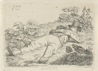 Liegender Mann im Gras (Drentscher Bauer) von Anthonie Willem Hendrik Nolthenius de Man