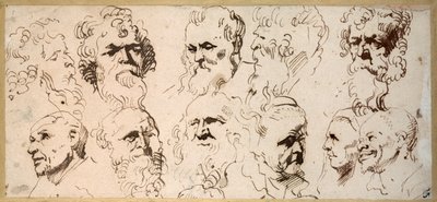 Elf Kopfstudien von Anthony van Dyck