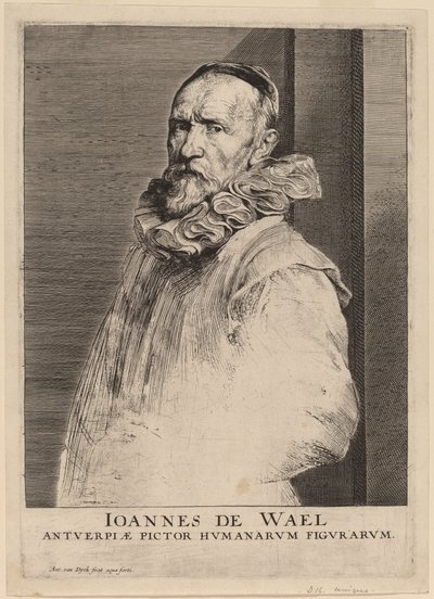 Jan de Wael von Anthony van Dyck