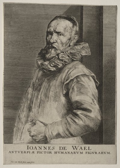 Porträt von Jan de Wael Nevers von Anthony van Dyck