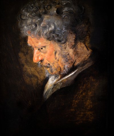 Studie eines alten Mannes: linkes Profil (Detail) von Anthony van Dyck