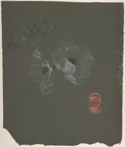 Floral Design von Antoine Berjon