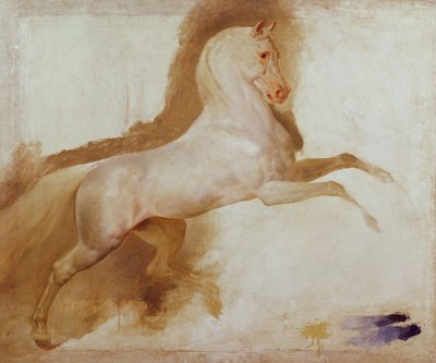 Pferd von Joachim Murat, ca. 1832 von Antoine Jean Gros