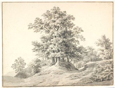 Landschaft mit großen Bäumen an der Elbe. Buxtehude von Anton Carl Dusch