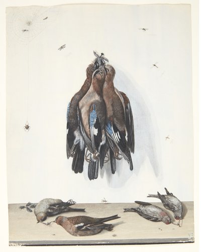 Stillleben mit Vögeln von Anton Ignaz Hamilton