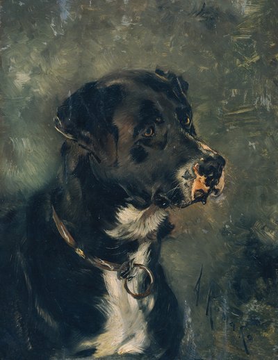 Kopf eines Fleischerhundes von Anton Romako