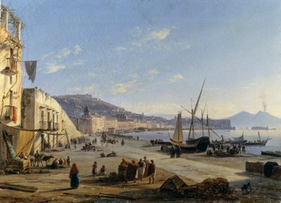 Blick auf Neapel mit Vesuv im Hintergrund von Anton Sminck Pitloo