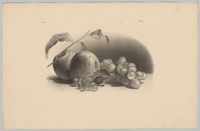 Äpfel, Beeren, Brombeere und Trauben von Anton Weiss