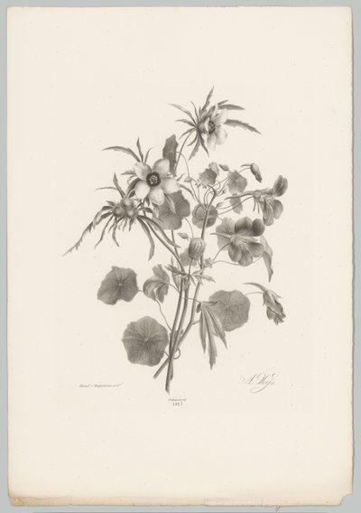 Diverse Blumen von Anton Weiss