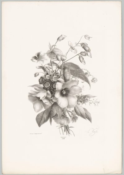 Diverse Blumen von Anton Weiss