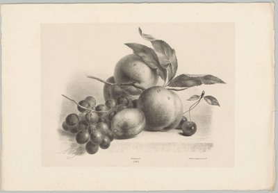 Trauben, Pflaume, Pfirsiche und Kirschen von Anton Weiss