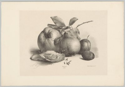 Früchte, Pflaumen und Austern von Anton Weiss