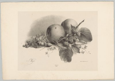 Pfirsiche, Beeren, Haselnüsse und Brombeeren von Anton Weiss
