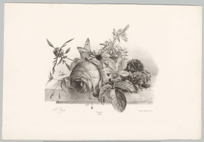 Rosen, Lilien, glockenförmige Blumen und Schmetterling von Anton Weiss