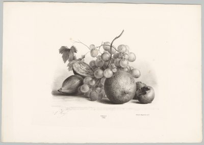 Feigen, Trauben und Orange von Anton Weiss