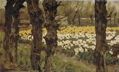 Tulpenfelder von Antonie Louis Koster