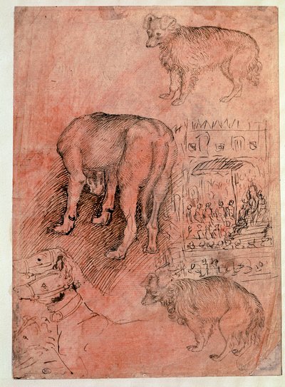 Hundestudien. Aulische Episode. Zeichnung von Antonio Pisano, genannt il Pisanello von Antonio Pisanello