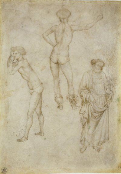 Zwei männliche Figurenstudien und der heilige Petrus, 1430-1435 von Antonio Pisanello