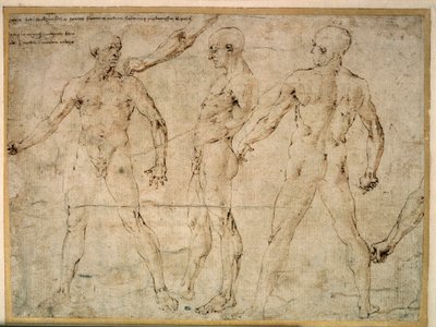 Drei nackte Männer. Zeichnung von Antonio Pollaiuolo (1432-1498) von Antonio Pollaiuolo