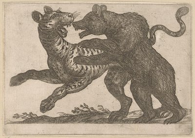 Ein Bär kämpft mit einem Tiger von Antonio Tempesta