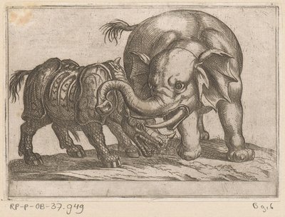 Ein Nashorn kämpft mit einem Elefanten von Antonio Tempesta