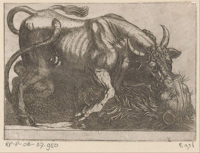 Ein Stier kämpft mit einem Löwen (Vechtende dieren) von Antonio Tempesta
