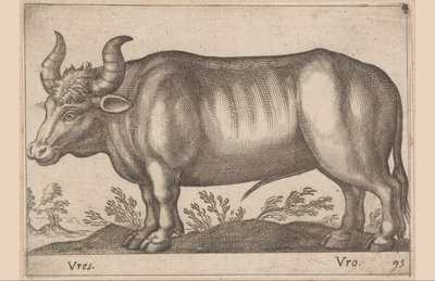 Rind von Antonio Tempesta