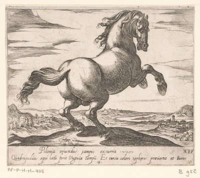 Steigendes Pferd nach rechts gewandt von Antonio Tempesta