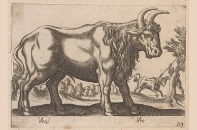 Stier
Tiere und Fabelwesen
Nova raccolta de li animali piu curiosi del mondo von Antonio Tempesta