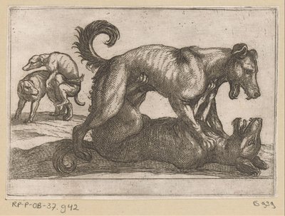 Zwei paarende und zwei kämpfende Hunde von Antonio Tempesta