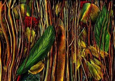 Anderswelten Nr. 79-4, seltsames Holz, 2019 von Antonius Antonius