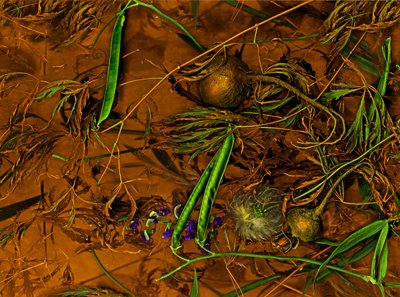 Erdkunst Nr.2, 2014 von Antonius Antonius