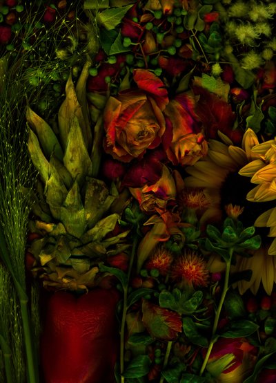 Magischer Garten Nr. 26, 2011 von Antonius Antonius