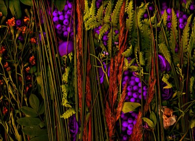 Magischer Garten Nr. 39-3, 2019 von Antonius Antonius