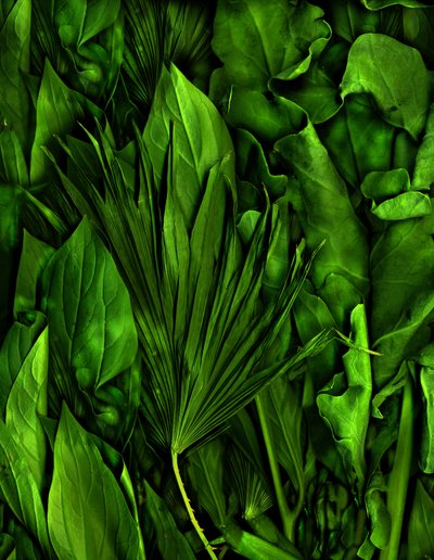 Magischer Garten Nr. 6-3, 2020 von Antonius Antonius