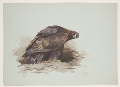 Steinadler, ca. 1915 von Archibald Thorburn