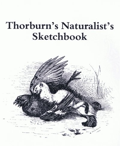 Titelblatt (Hermelin und Wildvogel), veröffentlicht von Book Club Associates von Archibald Thorburn