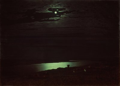 Mondnacht am Dnjepr, 1880 von Arkhip Ivanovich Kuindzhi