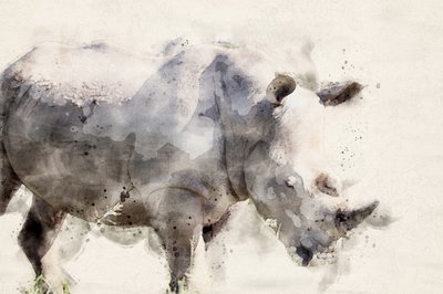 Anmutiger Aquarell Nashorn von Arno Du Toit