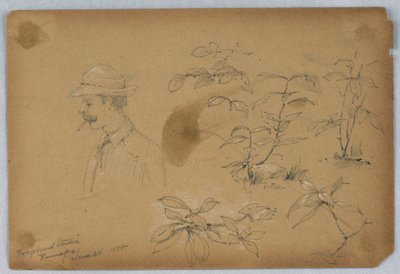 Vordergrundstudien, Ramapo von Arnold William Brunner