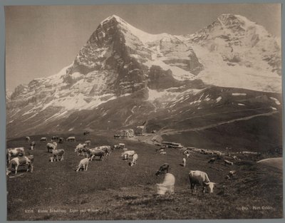 Kühe auf der Kleinen Scheidegg im Berner Oberland, im Hintergrund der Eiger und der Mönch von Arthur Gabler