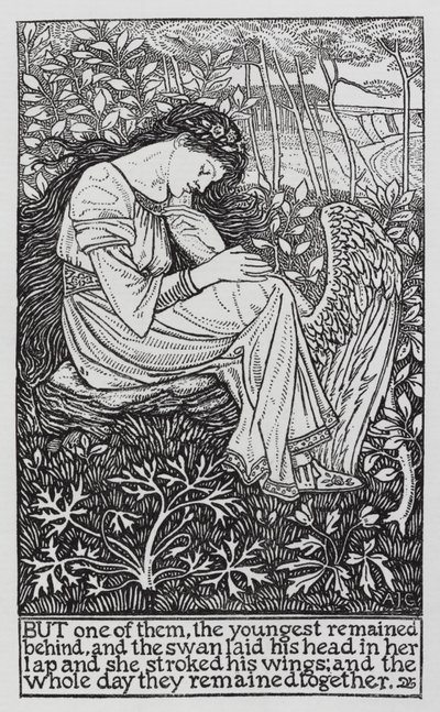 Hans Christian Andersen: Die wilden Schwäne von Arthur Joseph Gaskin