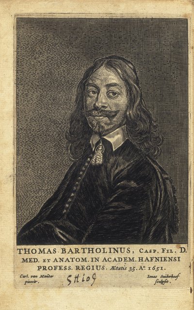 Thomas Bartholin (1616-1680). Dänischer Arzt, Mathematiker und Theologe. Er ist bekannt für seine Arbeit bei der Entdeckung des Lymphsystems beim Menschen und für seine Fortschritte in der Theorie der Kälteanästhesie, als erster beschrieb er von Artist Unknown