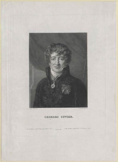 Georg Cuvier (Druck) von Artist Unknown