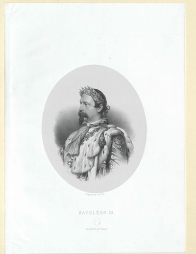 Napoleon III. Kaiser der Franzosen von Artist Unknown