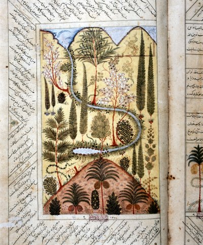 Persischer Garten (Miniatur) von Artist Unknown