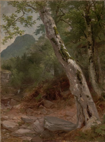  von Asher Brown Durand