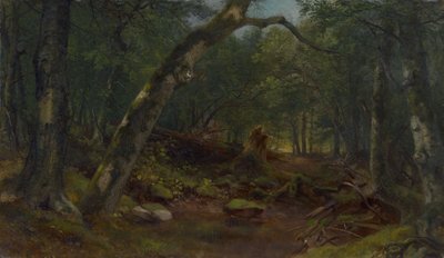 Künstlergasse nach einem Regenschauer von Asher Brown Durand