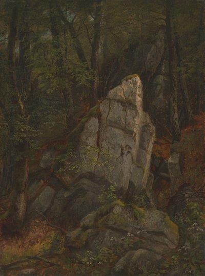 Studie von Felsen in Pearson